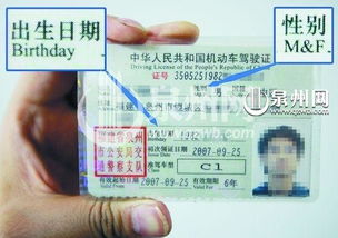 中国驾驶证存在 3大漏洞 ,被一个外国人指出,最后改革了