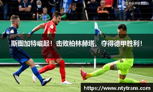 完美体育官网