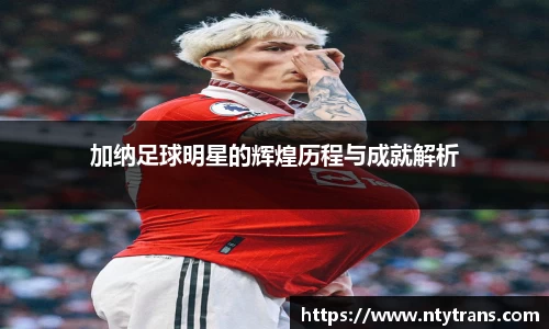 完美体育官网