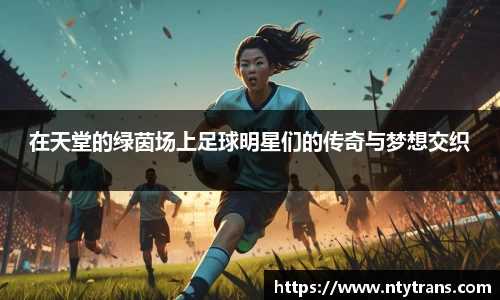 完美体育官网