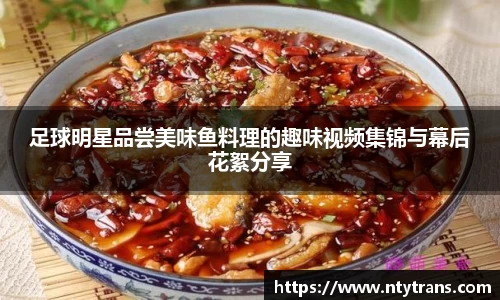 完美体育登录入口